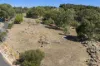18 Evelyn Place, Bullsbrook, WA 6084-Image
