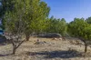 18 Evelyn Place, Bullsbrook, WA 6084-Image