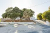 18 Galleon Place, Yanchep, WA 6035-Image
