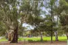18 Gawler Street, Seaview Downs, SA 5049-Image