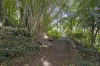 18 Gladioli Avenue, Terranora, NSW 2486-Image