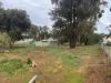 18 Gloucester Road, Jamestown, SA 5491-Image