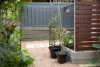 18 Grandis Court, Cashmere, Qld 4500-Image