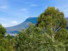 18 Grevillea Avenue, Old Beach, Tas 7017-Image
