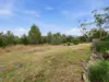 18 Grevillea Avenue, Old Beach, Tas 7017-Image