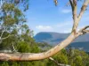 18 Grevillea Avenue, Old Beach, Tas 7017-Image