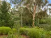 18 Grevillea Crescent, Stonyfell, SA 5066-Image