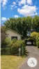 18 Gymea Street, Narrabundah, ACT 2604-Image