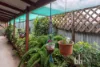 18 Hamilton Street, Mannum, SA 5238-Image