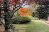 18 Hartley Esplanade, Leura, NSW 2780-Image