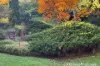 18 Hartley Esplanade, Leura, NSW 2780-Image