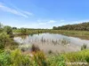 18 Harvey Parade, Burpengary East, Qld 4505-Image