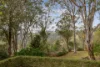 18 Harvey Street, Mount Lofty, Qld 4350-Image