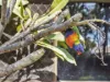18 Hawaii Crescent, Banksia Beach, Qld 4507-Image