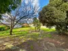18 Haynes Street, Bordertown SA 5268-Image