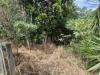 18 Henderson Road, Everton Hills, Qld 4053-Image