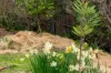 18 Hillborough Road, South Hobart, Tas 7004-Image