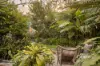 18 Ivy Street, Toowong, Qld 4066-Image