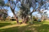 18 Leconfield Drive, Mudgee, NSW 2850-Image