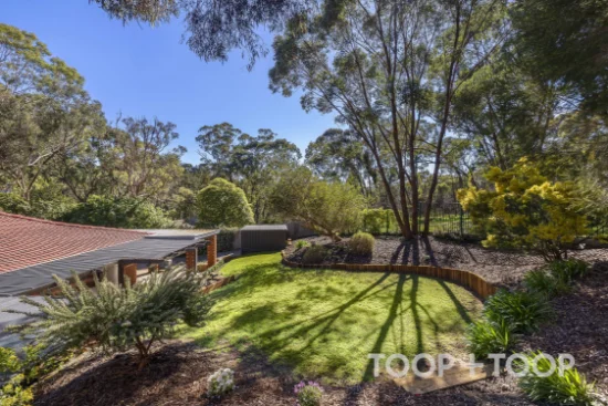 18 Lilford Way, Flagstaff Hill, SA 5159
