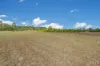 18 Lindherr Road, Yarwun, Qld 4694-Image