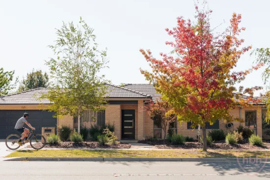 18 Lindsay Pryor Street, Wright, ACT 2611