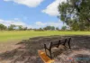 18 Little Close, East Cannington, WA 6107-Image