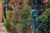 18 Maddock Avenue, Mooloolah Valley, Qld 4553-Image