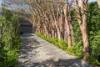 18 Mansion Road, Bellevue Hill, NSW 2023-Image