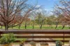 18 Martin Street, Curtin, ACT 2605-Image