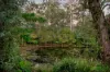 18 Mindi Court, Cashmere, Qld 4500-Image