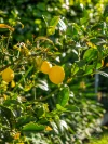 18 Moody Street, Burnie, Tas 7320-Image