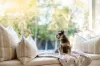 18 Overland Road, Croydon Park, SA 5008-Image