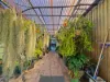 18 Patterson Parade, Lucinda, Qld 4850-Image