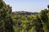 18 Peninsula Drive, Bilambil Heights, NSW 2486-Image