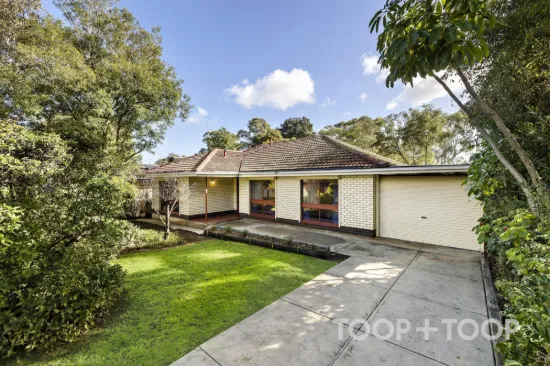 18 Radiata Road, Highbury, SA 5089