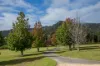 18  Radiata Road, Kangaroo Valley, NSW 2577-Image