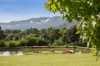 18  Radiata Road, Kangaroo Valley, NSW 2577-Image