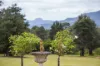 18  Radiata Road, Kangaroo Valley, NSW 2577-Image