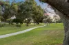 18 Rae Place, Hillarys, WA 6025-Image