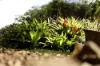 18 Rosella Road, North Maleny, Qld 4552-Image