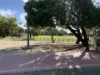 18 Rummer Way, Bateman, WA 6150-Image
