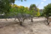 18 Saddleback Circle, Maida Vale, WA 6057-Image