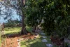 18 Simmons Street, Balmain East, NSW 2041-Image