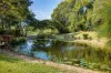 18 Southeden Court, Cooroy, Qld 4563-Image