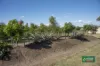 18 Steinhardts Road, Moffatdale, Qld 4605-Image