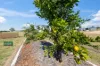 18 Steinhardts Road, Moffatdale, Qld 4605-Image