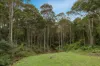 18 Sunrise Close, Belmont North, NSW 2280-Image