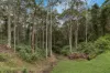 18 Sunrise Close, Belmont North, NSW 2280-Image