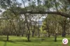 18 The Heights, Hidden Valley, Vic 3756-Image